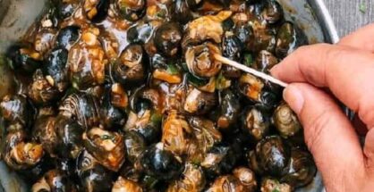 Mơ thấy con ốc điềm báo gì đánh số gì chắc trúng