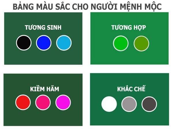 Mệnh Mộc hợp màu gì? Những màu sắc thu hút tài lộc