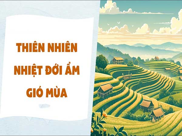 Nhiệt đới ẩm gió mùa là gì