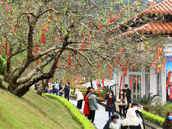 Truyền thống du xuân đầu năm đã ăn sâu vào văn hóa người Việt từ lâu đời