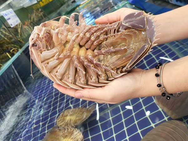 Con bọ biển làm món gì ngon?