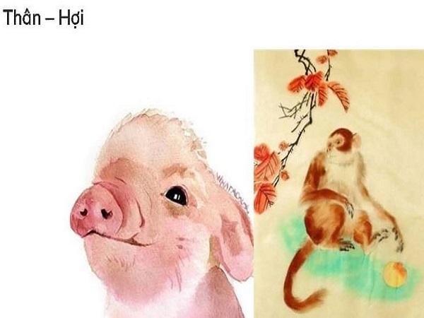 Xét theo địa chi – tuổi thân và tuổi hợi có hợp nhau không?