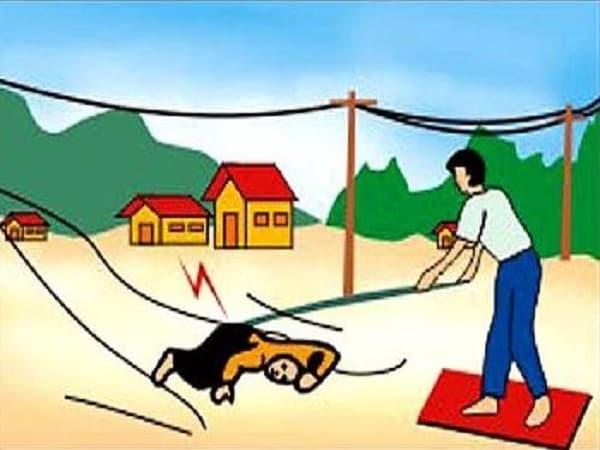 Tại sao chúng ta mơ thấy người bị điện giật