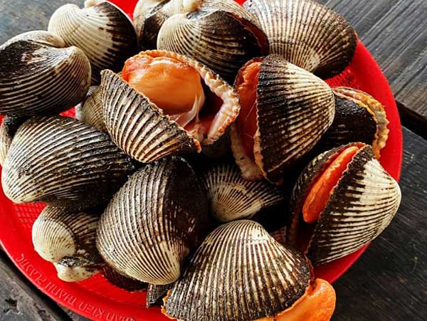 Sò lông được xem là món ăn bổ dưỡng cho mọi lứa tuổi