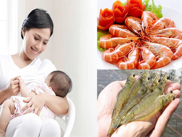 Giá trị dinh dưỡng của tôm với mẹ sau sinh