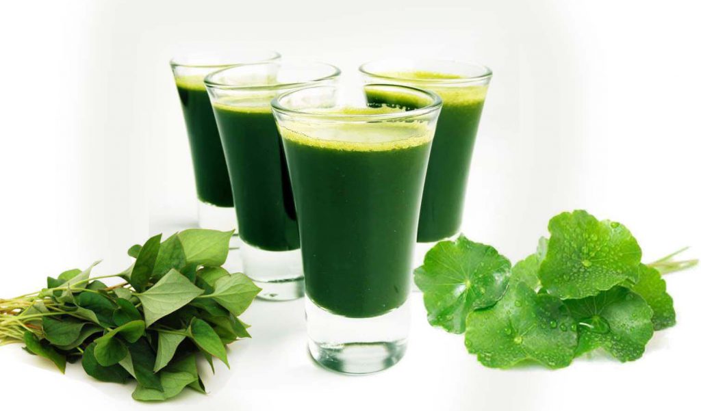Rau má – Thanh nhiệt, tiêu viêm toàn thân