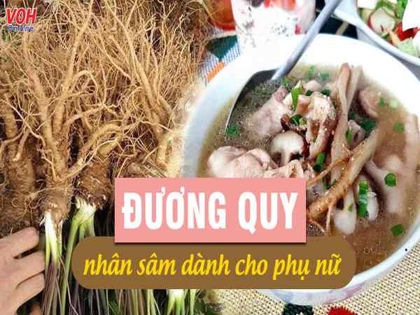 Đương quy - Vị thuốc quý cho sức khỏe phụ nữ