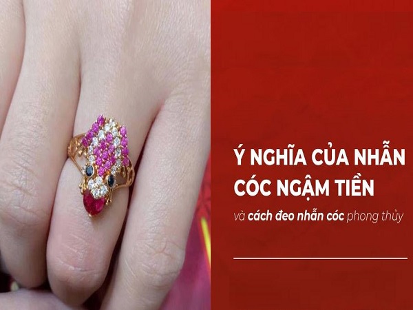 Ý nghĩa của nhẫn cóc ngậm tiền trong phong thủy