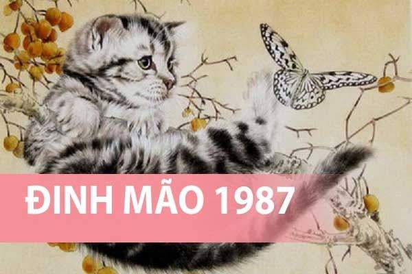 Tổng quan vận mệnh tuổi Đinh Mão trong ngày 26/12/2025