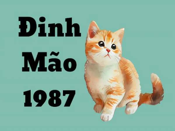 Bật mí con số đẹp tuổi Đinh Mão 26/12/2025 hôm nay