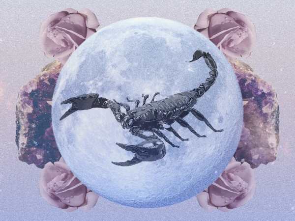 Con số tài lộc cung Bọ Cạp theo vận khí ngày Thứ Hai