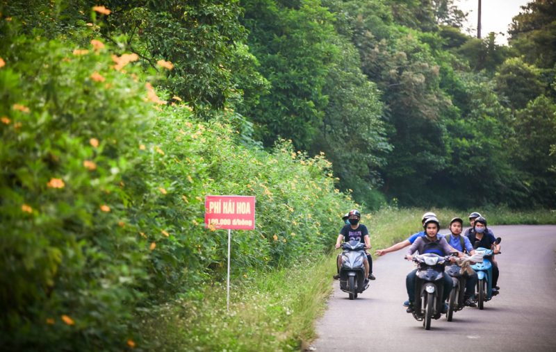 du lịch Ba Vì