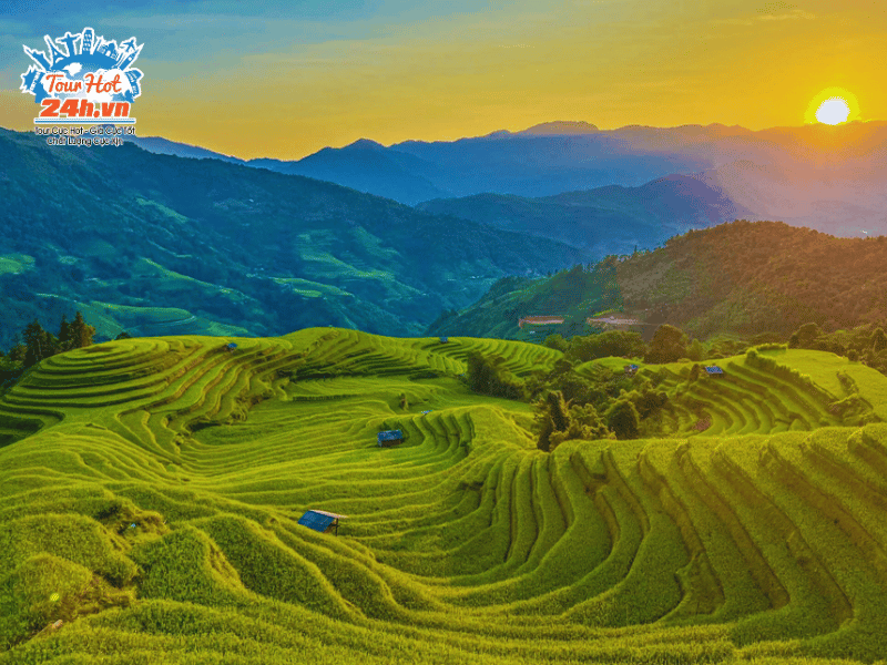 binh-minh-hoang-su-phi-ruong-bac-thang-mua-thu-viet-nam