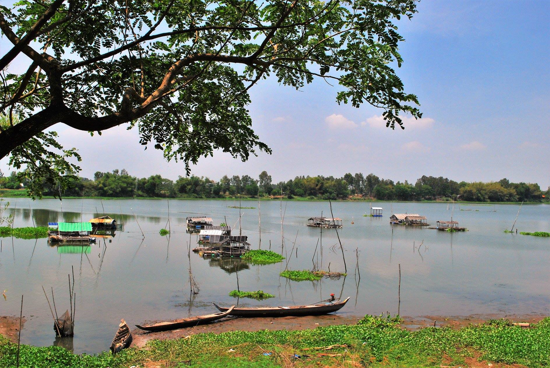 Búng bình thiên