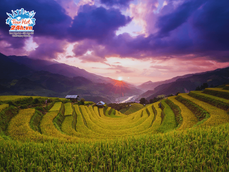 chiem-nguong-ve-dep-mua-vang-mu-cang-chai