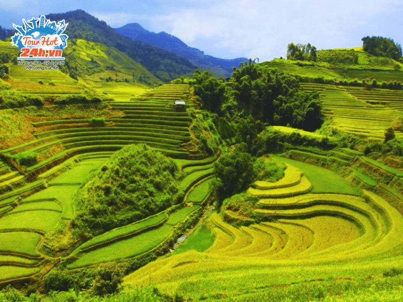 chiem-nguong-ve-dep-pu-luong-mua-vang
