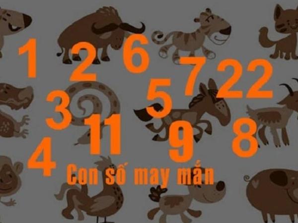 Tổng quan năng lượng ngày 25/3/2026