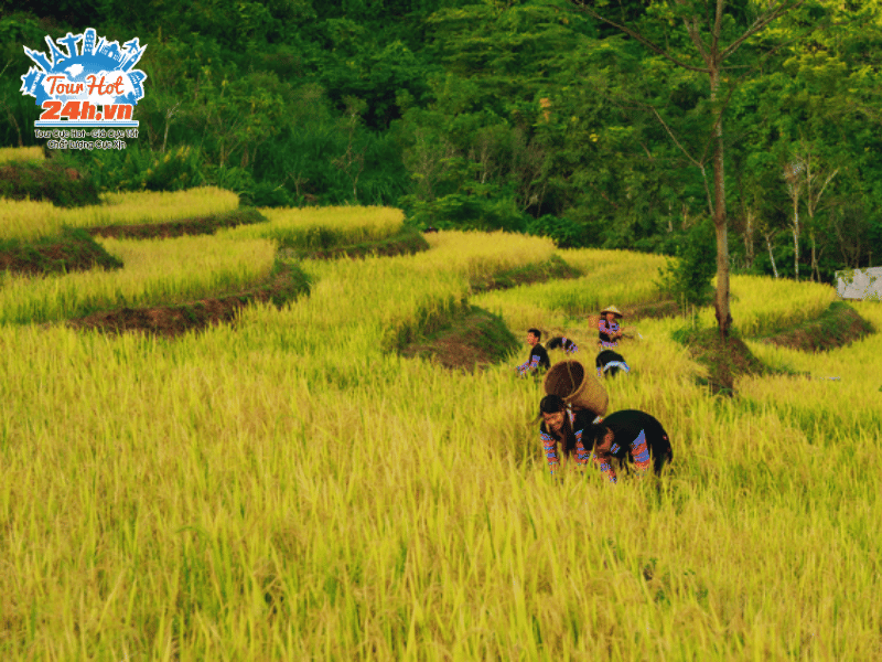 ghe-tham-cac-ban-lang-mai-chau-mua-thu