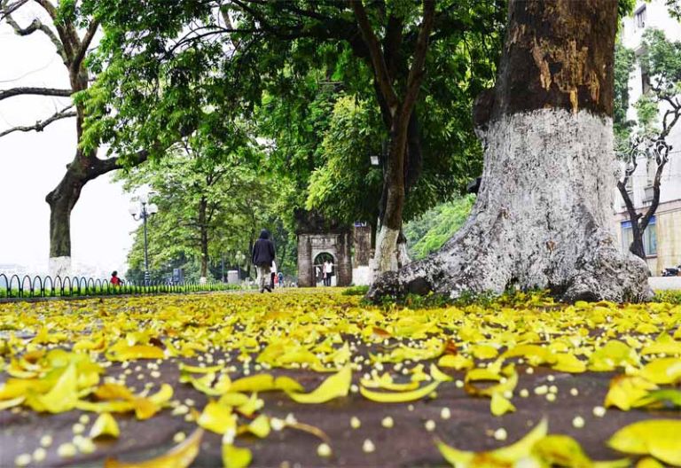 du-lich-ha-noi-thang-9