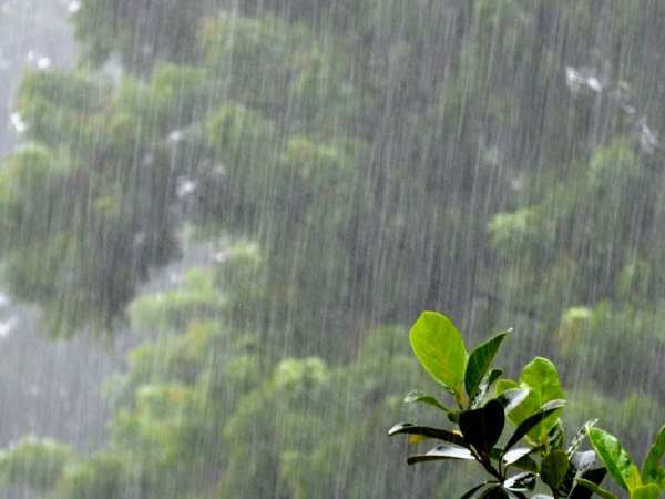 Mơ thấy trời mưa có ý nghĩa gì, chọn số nào trúng giải lớn