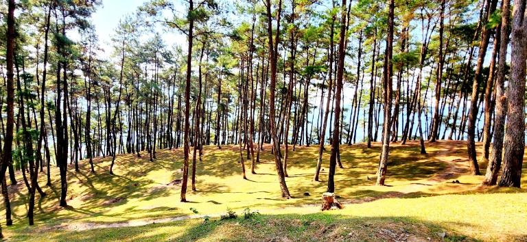 kinh-nghiem-du-lich-ha-giang