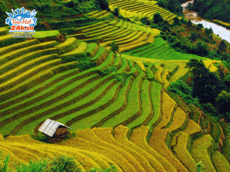 le-hoi-mu-cang-chai-ruong-bac-thang-mua-thu-viet-nam