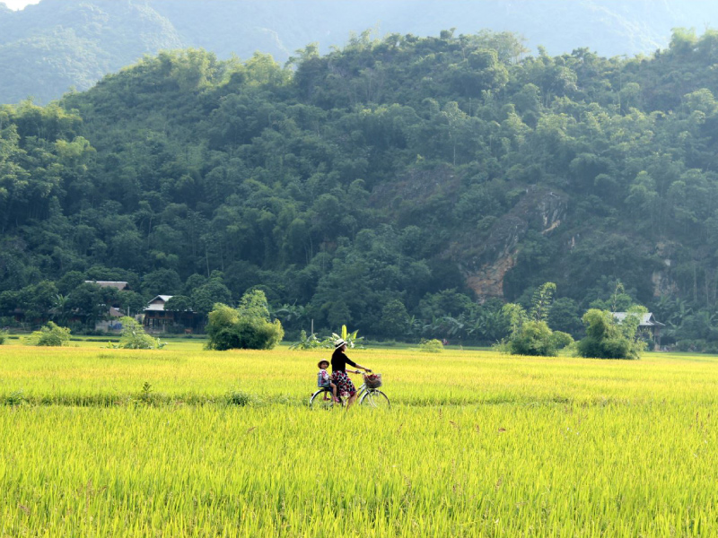 mai-chau-diem-tranh-nong-o-mien-bac