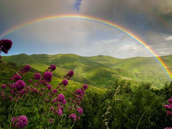 Bật mí nằm mơ thấy cầu vồng là điềm gì? May hay rủi?