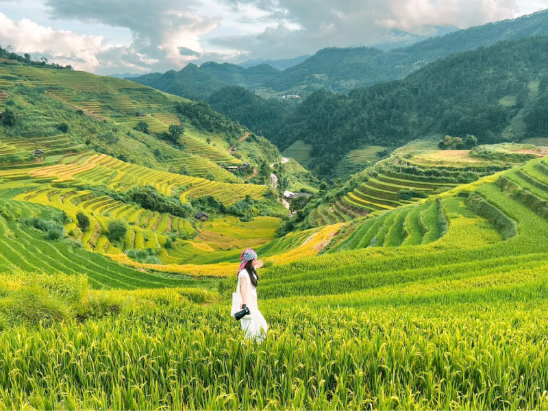 mu-cang-chai-mua-he