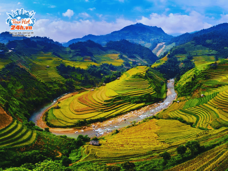 mua-vang-mu-cang-chai-co-gi-dac-biet