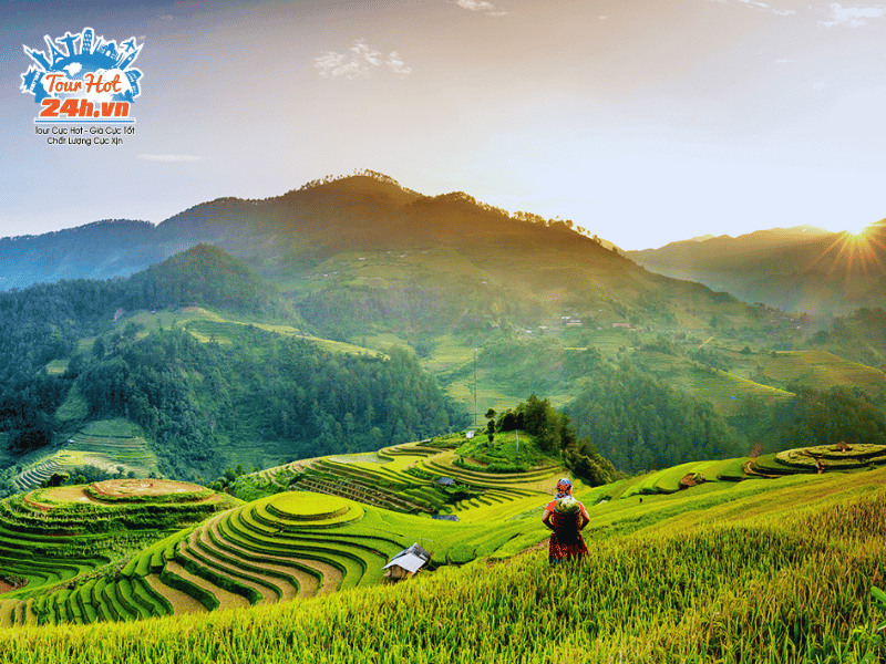 ruong-bac-thang-mua-thu-viet-nam-mu-cang-chai
