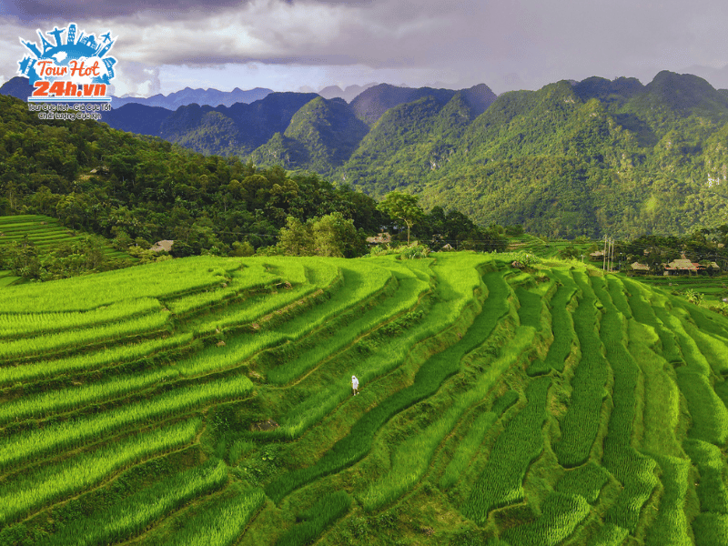 ruong-bac-thang-mua-thu-viet-nam-pu-luong