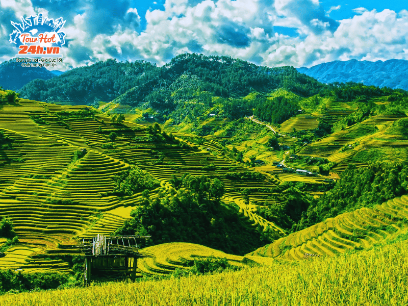 ruong-bac-thang-mua-thu-viet-nam-sapa-1