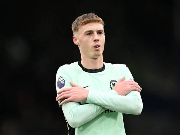 Những thành tích cá nhân nổi bật của Cole Palmer