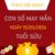 Con số may mắn hôm nay 15/5/2026 thứ 6 tuổi Sửu