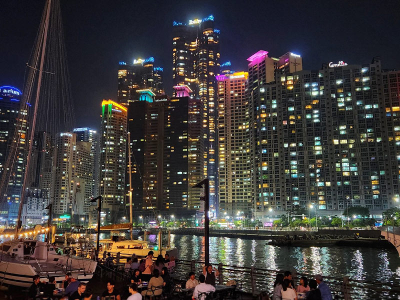 The-Bay-101-busan-ve-dem
