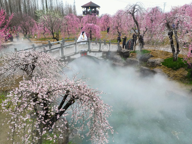 doan-kieu-truyen-thuyet-bach-xa-hua-tien