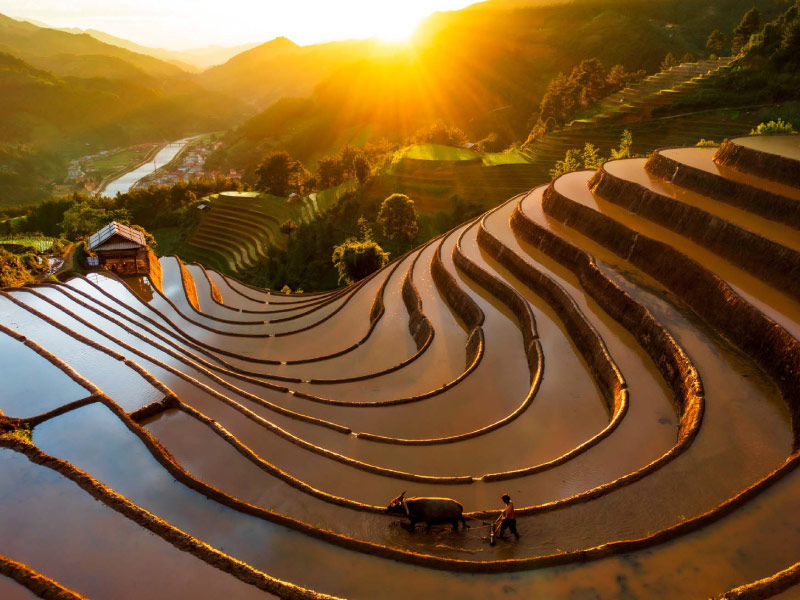 mu-cang-chai-mua-nuoc-do-thang-may