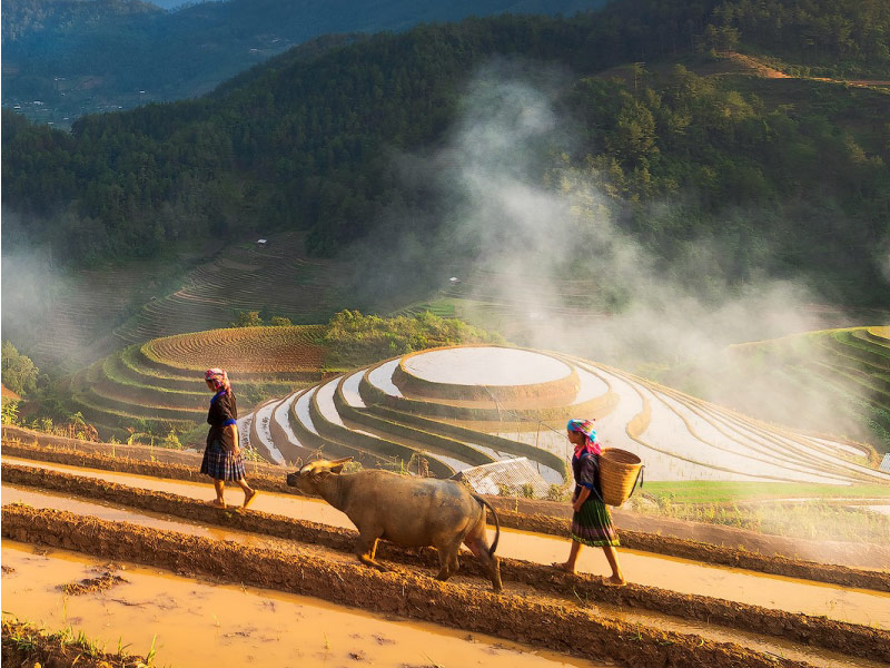ve-dep-mu-cang-chai-mua-nuoc-do