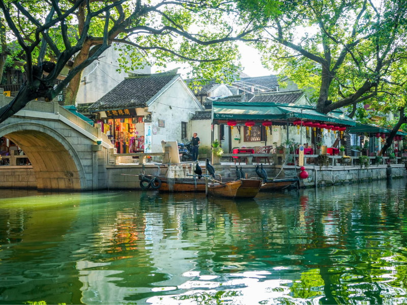 chu-trang-co-tran-giang-nam