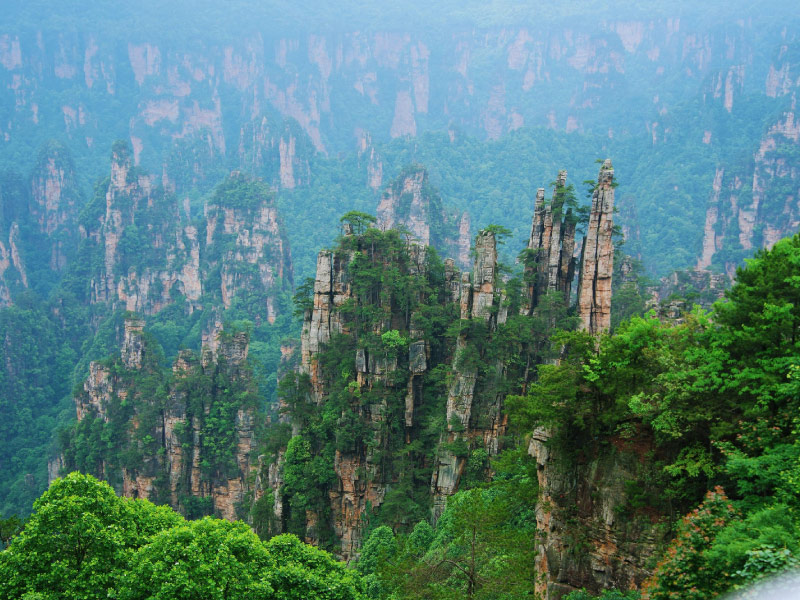 truong-gia-gioi-ho-nam